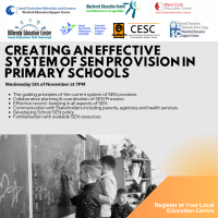 Creating an effective system of SEN provision in Primary Schools 